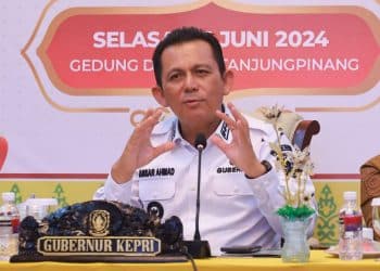 Gubernur Kepri Ansar Ahmad, foto: ist/detak.media